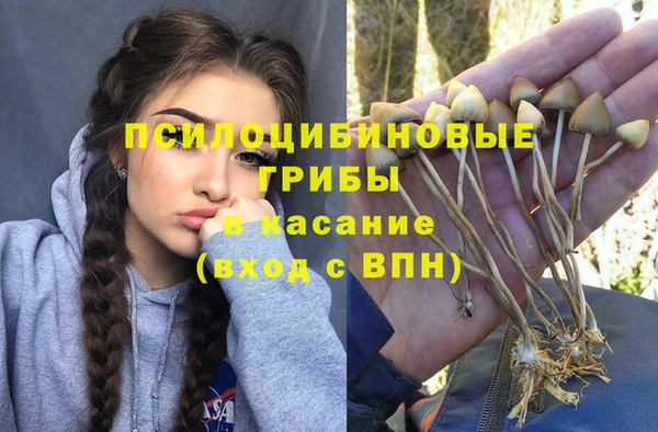 трава Верхний Тагил