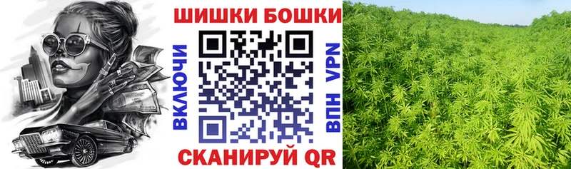 Бошки Шишки ГИДРОПОН  Покров 